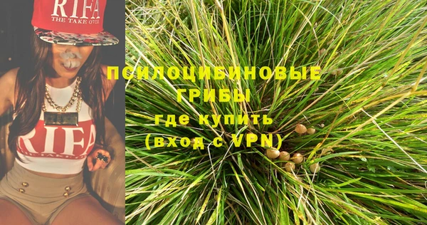 СК Абинск