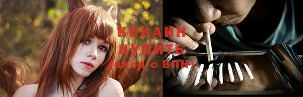 СК Абинск