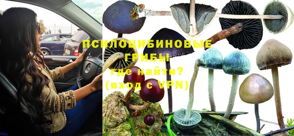 СК Абинск