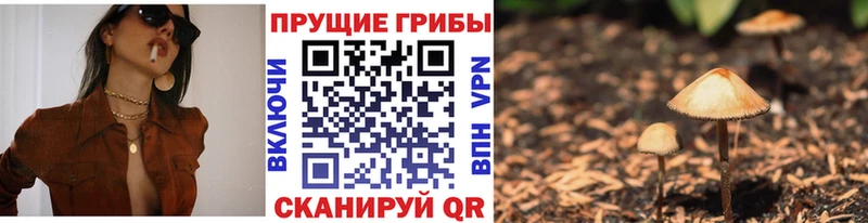 гидра зеркало  Уржум  Псилоцибиновые грибы Psilocybe 